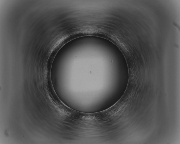 X0000096730440200802121318