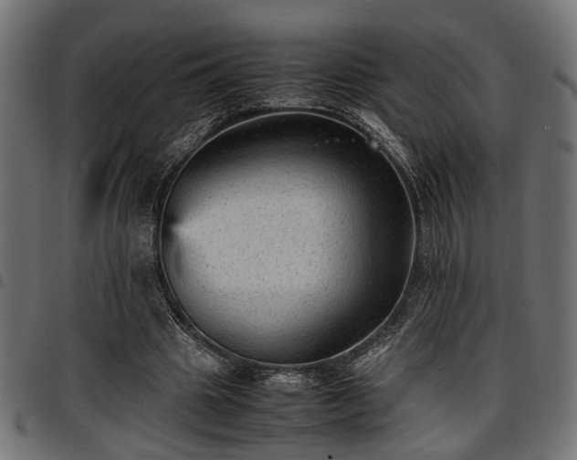 X0000096730441200802121318