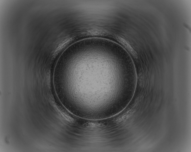 X0000096730442200802121318