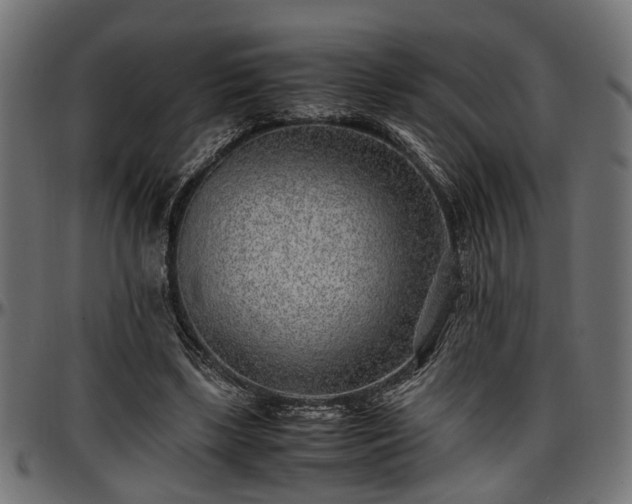 X0000096730443200802121318