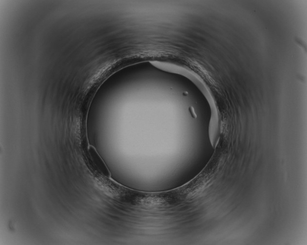 X0000096730444200802121318