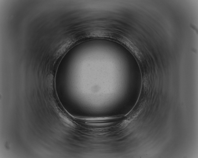 X0000096730445200802121318
