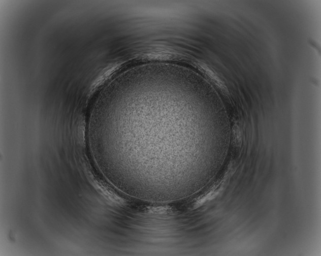 X0000096730446200802121318