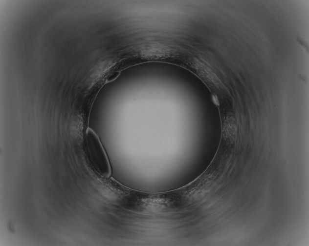 X0000096730448200802121318