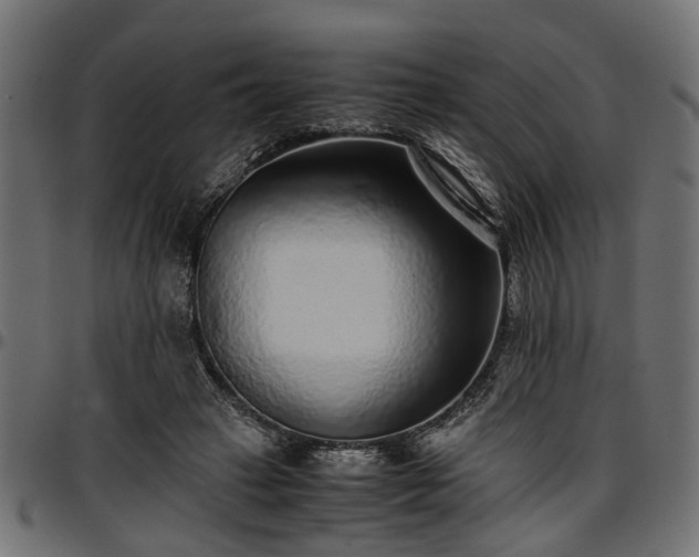X0000096730449200802121318