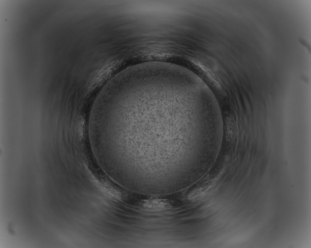 X0000096730451200802121318