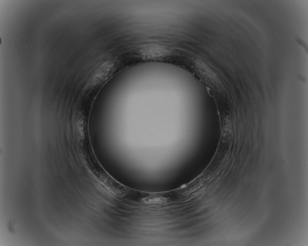 X0000096730452200802121318