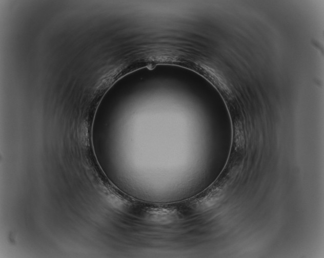 X0000096730453200802121318