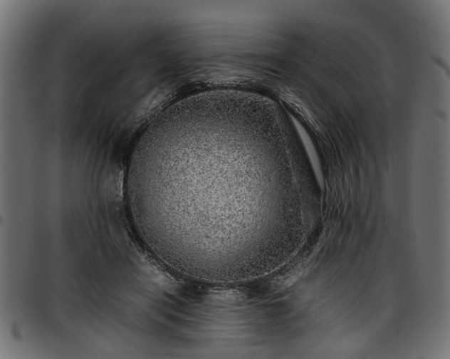 X0000096730454200802121318