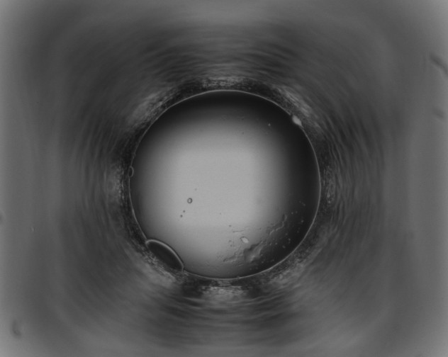 X0000096730455200802121318