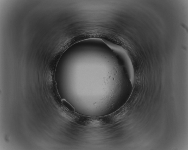 X0000096730456200802121318