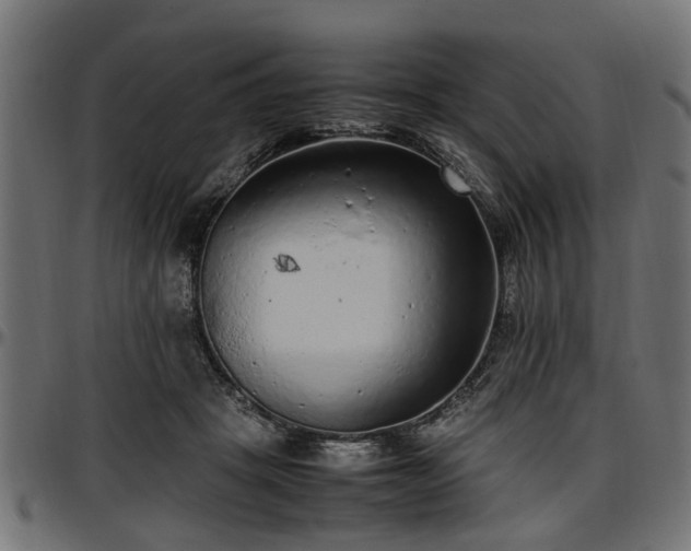 X0000096730457200802121318