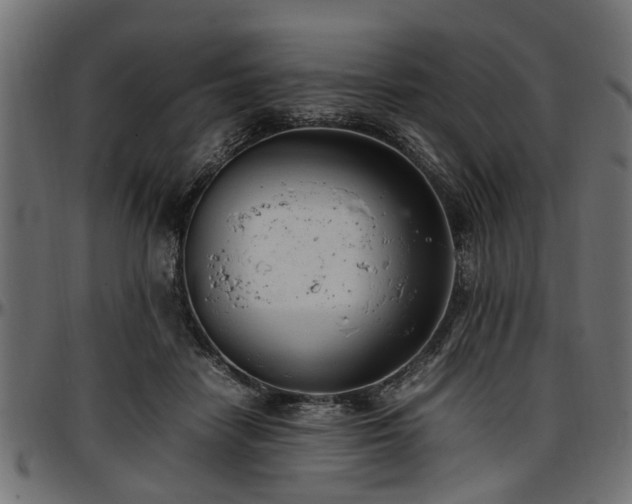 X0000096730458200802121318