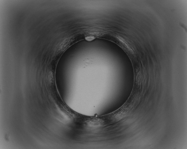 X0000096730459200802121318