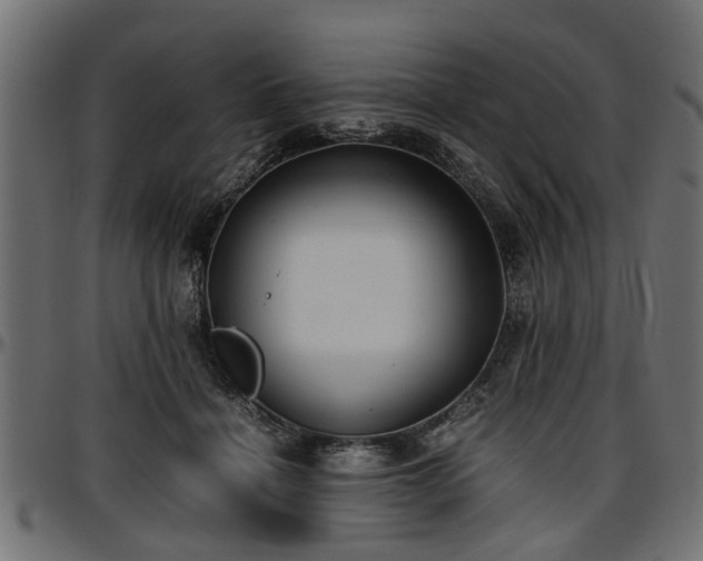 X0000096730460200802121318
