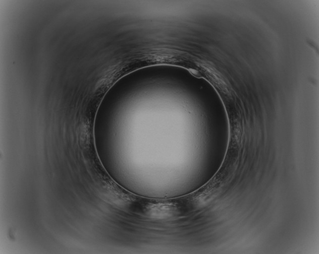 X0000096730461200802121318
