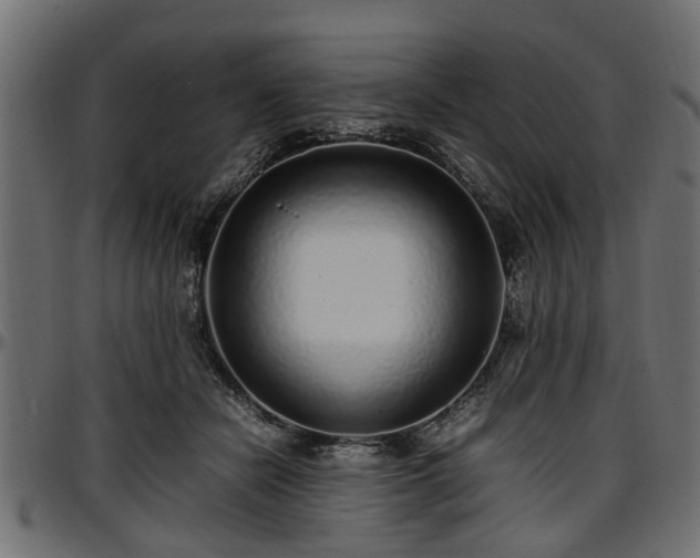 X0000096730462200802121318