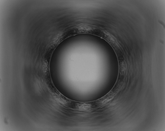 X0000096730463200802121318