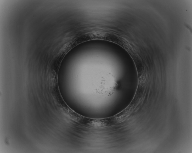 X0000096730464200802121318