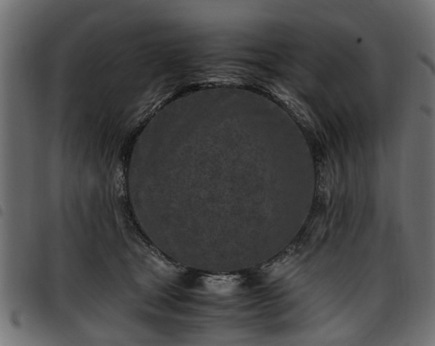 X0000096730465200802121319