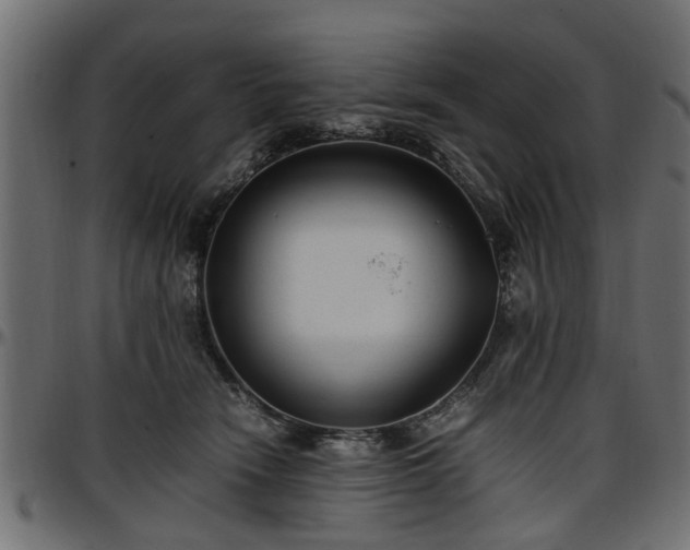 X0000096730466200802121319