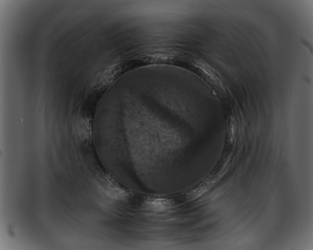 X0000096730467200802121319