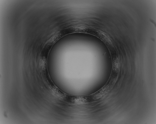 X0000096730468200802121319
