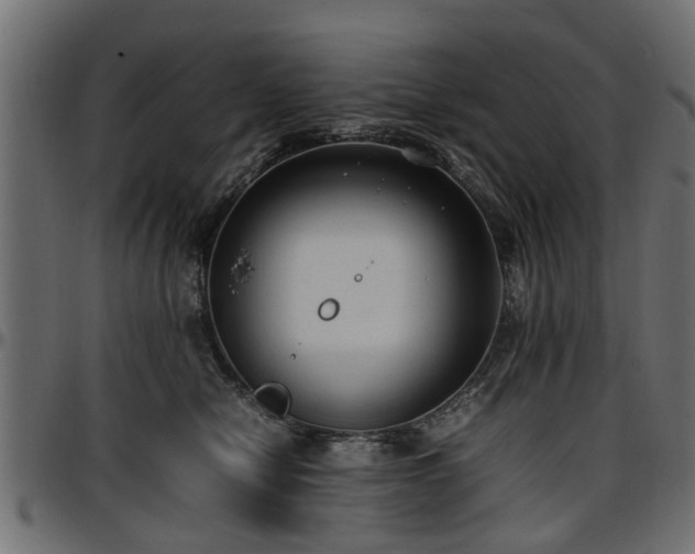 X0000096730470200802121319