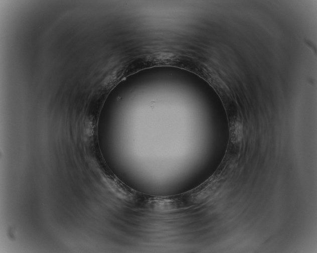 X0000096730472200802121319