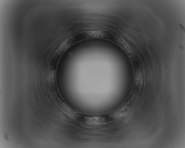 X0000096730473200802121319