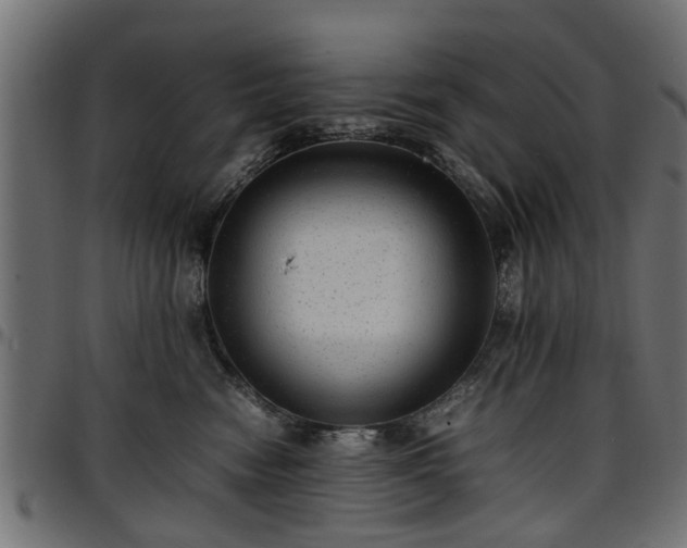 X0000096730474200802121319