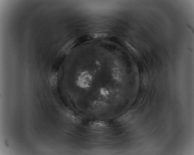 X0000096730475200802121319