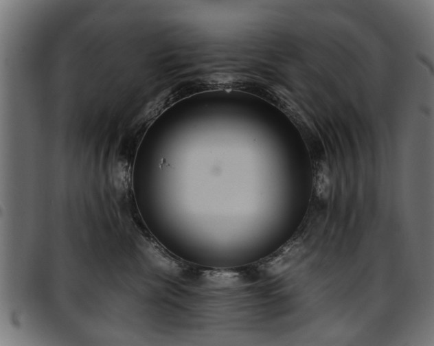 X0000096730476200802121319