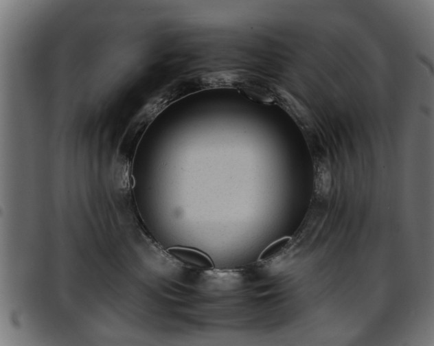 X0000096730477200802121319