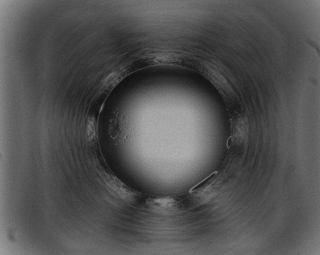 X0000096730478200802121319