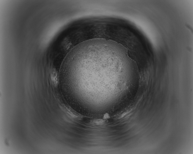 X0000096730479200802121319