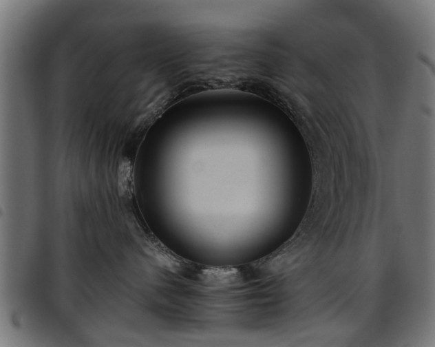 X0000096730480200802121319