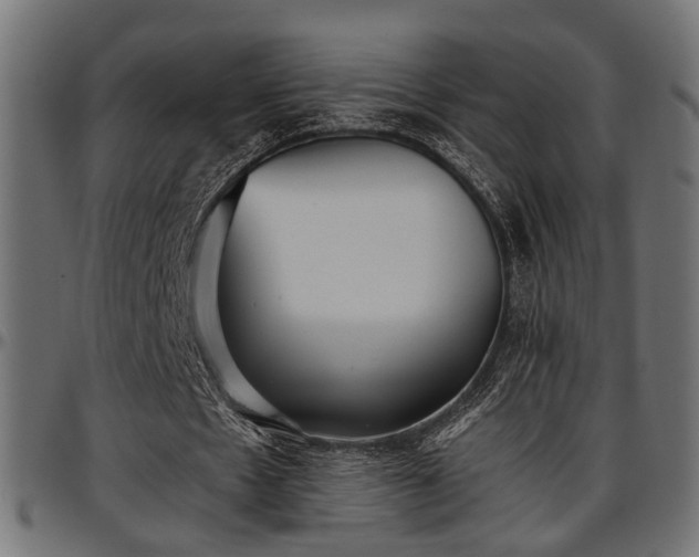 X0000096730481200802121318