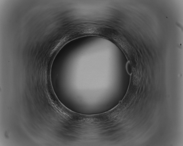 X0000096730482200802121318
