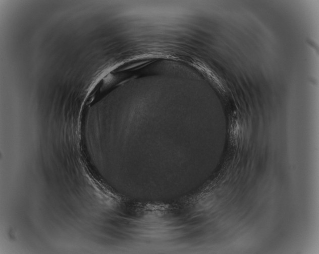 X0000096730484200802121318