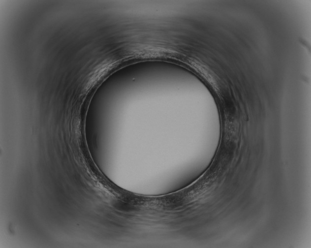 X0000096730485200802121318