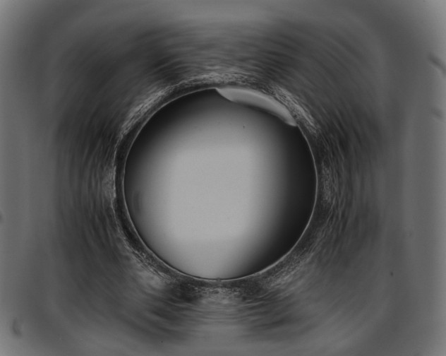 X0000096730486200802121318