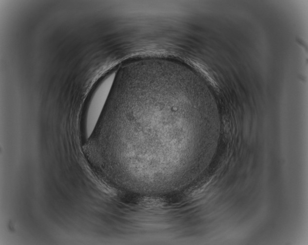 X0000096730487200802121318