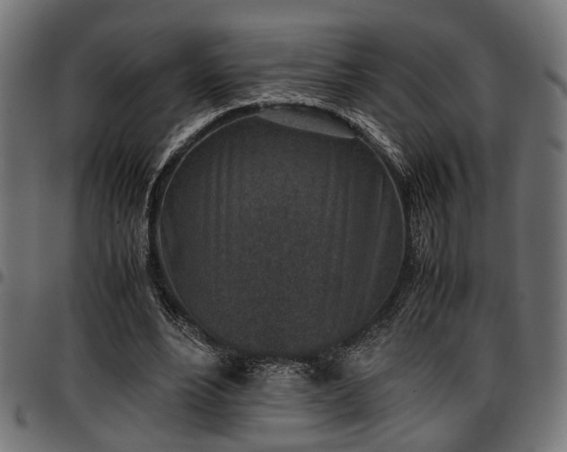 X0000096730488200802121318