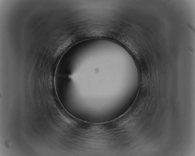 X0000096730489200802121318