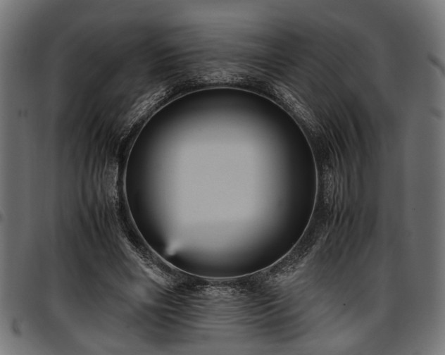 X0000096730490200802121318