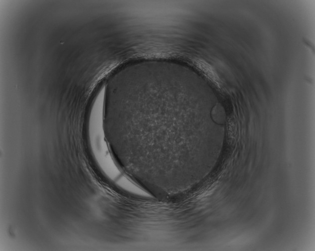 X0000096730491200802121318
