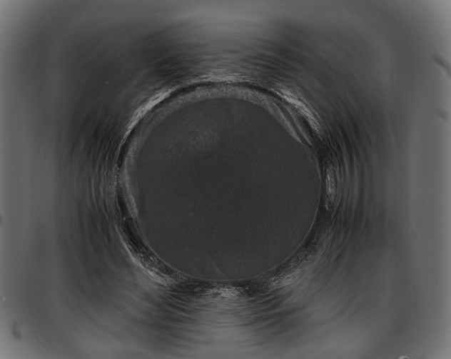 X0000096730492200802121318