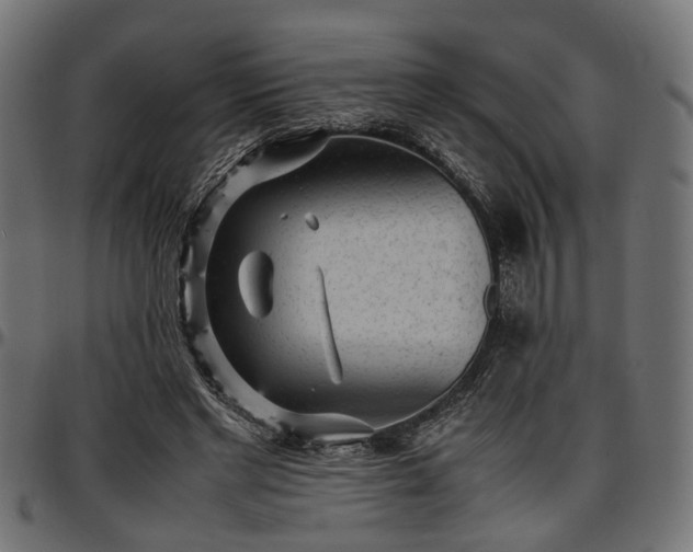 X0000096730493200802121318
