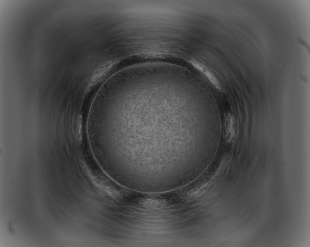 X0000096730494200802121318
